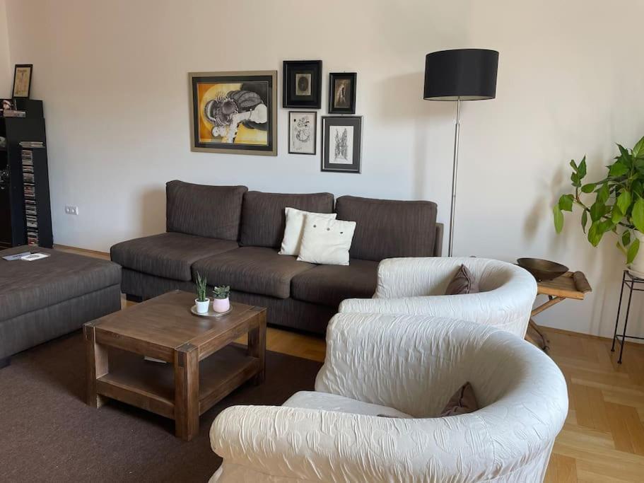 Spacious 3Br/2Bt Apartment With A/C In City Center Zagreb Exterior photo